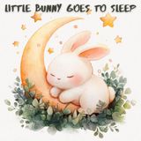 Little Bunny Goes to Sleep: Bedtime storie