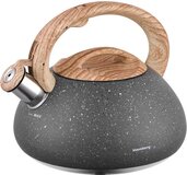 Klausberg KB-7250 Fluitketel - 2.7L - RVS - Grijs - Alle Warmtebronnen