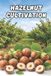 Hazelnut Independently Published Hazelnut Cultivation: A Systematic Approach to Establishing and Managing a Hazelnut Orchard for Stable Yields Paperback