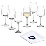 LEONARDO HOME Rieslingglazen CESTI (set van 6) incl. poetsdoek