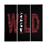 Homemania Wandfoto, 3-delig, voor woonkamer, slaapkamer, meerkleurig, 69 x 3 x 50 cm, HM203PKNV-230, polyester, hout
