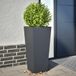 Maison Exclusive Jardinière, 2 pièces, anthracite, 35x35x75 cm, acier