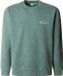 Pepe Jeans Terrel Sweatshirt Vert sauge 2XL Homme