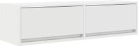 vidaXL TV-kast 100 x 31 x 25,5 cm Wit Bewerkt Hout