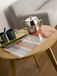 Calitex Colorama Stripe placemat, PVC oranje 44 x 28 cm