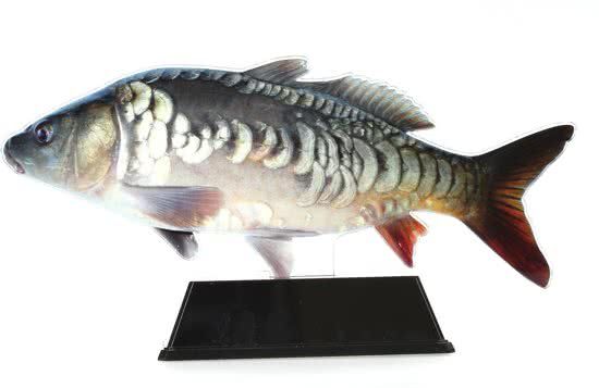 Vistrofee Real Fish Karper 20 cm - Visprijs - Hengelsportcadeau.nl