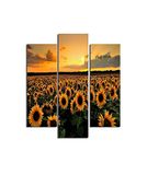 Homemania Muurfoto, zonnebloemen, 3 stuks, natuur en landschappen per woonkamer, slaapkamer - meerkleurig, van MDF, 57 x 0,3 x 60 cm