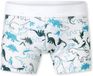 Schiesser Trunk Fine Rib Multi Heren 100% Katoen Gesorteerd 15