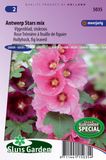 Sluis Garden Stokroos Antwerp Stars (Alcea rosea)