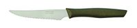Arcos Nova - Steakmes - Nitrum roestvrij staal 70 mm - handgreep polypropyleen metallic goud