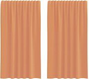 vidaXL - Voile gordijnen met roedezakken - 2 stuks - terracotta