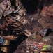 Beehive Joseph Decosimo, Luke Richardson & Cleek Schrey - Beehive Cathedral (LP)