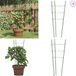 vidaXL Plantensteunen - 5 st - met 3 ringen - 45 cm - staal - groen