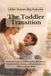 Little Voices Big Futures The Toddler Transition: A Parent’s Guide to Toddler Speech Milestones, Communication Delays, and Play Strategies to Build Language Skills