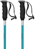 Atomic Redster X Stokken Zwart 115 cm
