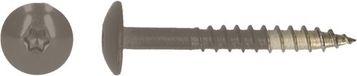 pgb-Europe PGB-FASTENERS HPL schroef Tx20 4,8x38 R7006 A4