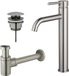 Fortifura Calvi Wastafelkraanset - verhoogde wastafelkraan - klikwaste plug - verlaagde design sifon - PVD - geborsteld RVS
