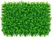 ZenithVibe Panneaux muraux en bois artificiel UV Book Wood Panneaux muraux Écran d'herbe de fond Mur de plantes vertes Brise-vue en feuilles de lierre Simulation d'herbe verte Écran d'herbe verte