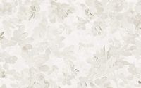 Komar Fotobehang - Sheer Grey 400x250cm - Vliesbehang