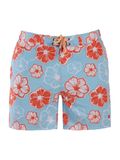 Frozen Cape Zwemshorts Ribeira Heren Lichtblauw Printopdruk Polyester/Elastaan L