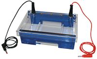 Neolab 7-0169 kam, 1,5 mm, 13 zakken, 7,5 mm breed, laadvolume 45 μl