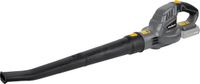 Rebel Electro Rebel RB5000.1 - Draadloze bladblazer 20 Volt