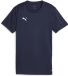 Puma Dames-shirt Teamgoal Jersey Wmn 658638