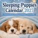 Sleeping Puppies Calendar 2027