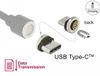Delock Magnetic Adapter USB Type-C male