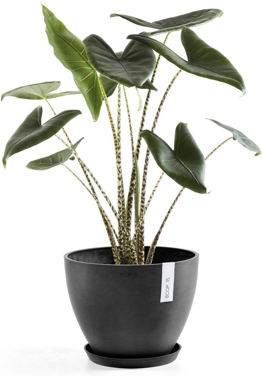 Ecopot's Antwerp grijs Ø30 cm H25,4 cm