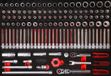 KS BRILLIANT TOOLS KS Tools 811.0124 3/8'' dopsleutelset in schuimrubberinleg, 124-dlg
