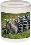 Bellatio Decorations Shoppartners Bv Dieren maki familie foto spaarpot 9 cm