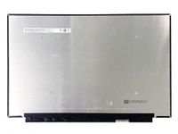 Coreparts 40,6 cm (16 inch) LCD QHD mat