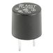 Schurter 0034.6617 Fusible THT 1.60 A 250 V/AC Lent -T- 1 pièce