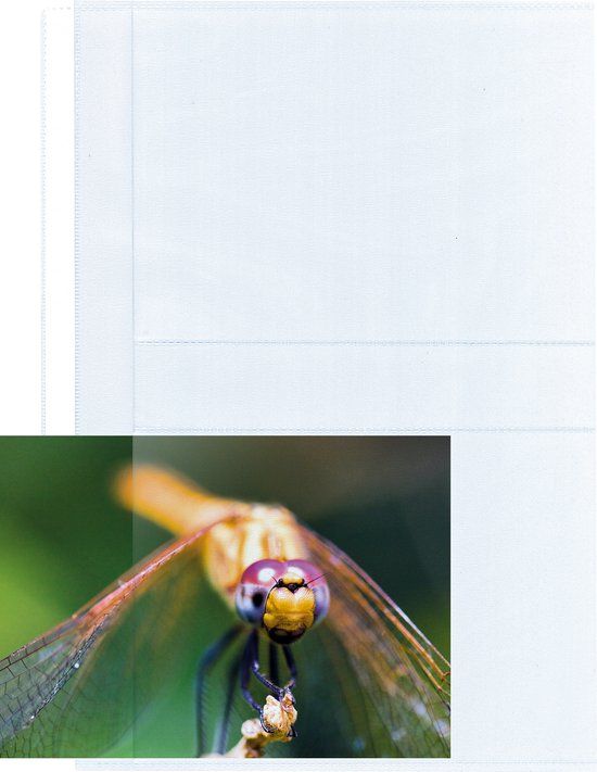 Handtassen, portefeuilles en koffers