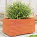 Maison Exclusive - Pot de fleurs pour le jardin, brun foncé, 90x60x49,5 cm, bois de pin massif