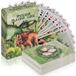 Dinosaure speelkaarten - 54 kaarten - 5,7 x 8,7 cm