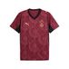 PUMA Maillot Third 25/26 Galatasaray SK Homme, Accessoires, Rouge, S