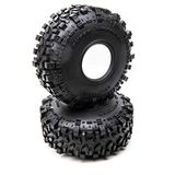 Axial AXI43002 banden, meerkleurig