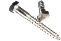Merkloos / Sans marque FHU INOX-PROSTAL Piotr Cherubin 10x100 Roestvrijstalen houtschroef DIN 571 A2