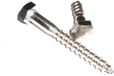Merkloos / Sans marque FHU INOX-PROSTAL Piotr Cherubin 10x100 Roestvrijstalen houtschroef DIN 571 A2