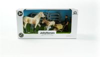 4KidsOnly JollyHorses JH Large Pack Spaarpot met Cijferslot