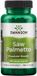 Swanson Health Swanson Saw Palmetto Extract - 100 Capsules - 540mg