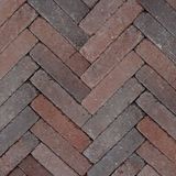 Merkloos Gardenlux Retrostones Plus 5 x 20 x 6,4 cm tuintegel Rood/Bruin 100 stenen per m2