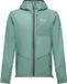 Salewa Pedroc 2 PTX 2.5 Light Waterdichte Jas Homme M Vert clair