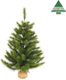 Triumph Tree Black Box Trees Richmond Kunstkerstboom in Jute - H90 x Ø69 cm - Groen