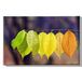 Homemania Wandafbeelding, natuurlijke kleuren, voor woonkamer, slaapkamer, meerkleurig, 45 x 3 x 70 cm, HM20KNV45 x 70 – 271, polyester, hout