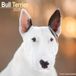 Avonside Bull Terrier Kalender 2025 Wandkalender Dieren nl