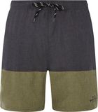 Protest Prtfreddie Zwemshort Heren Camo Green