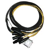 AVID Kabelboom, DigiSnake DB25-XLR M+F AES/EBU, 12ft.